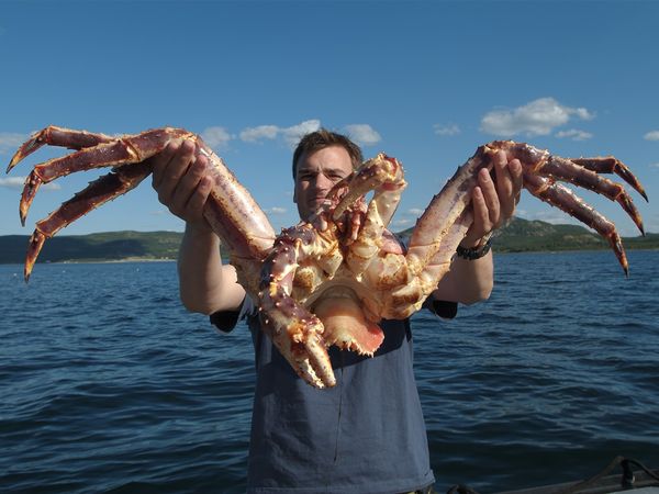 Conquerors - The Giant Crab of Kamtchatka