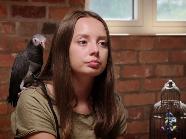 Embarrassing Pets - Episode 5