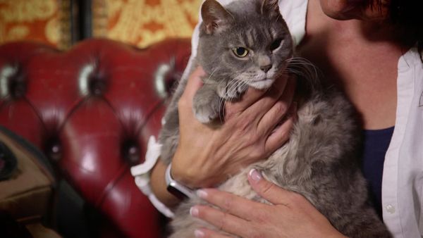 Embarrassing Pets - Episode 9