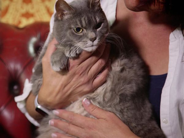 Embarrassing Pets - Episode 9