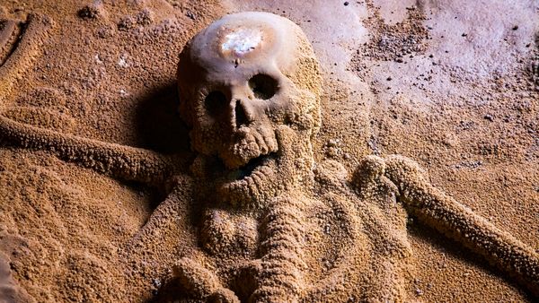 Secrets In The Jungle - Mystery Skeleton of Belize