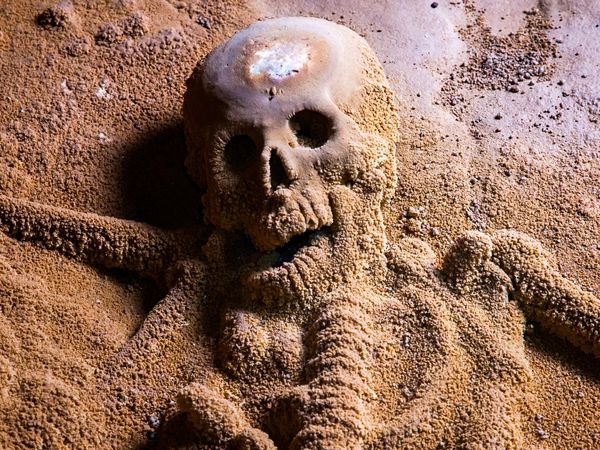 Secrets In The Jungle - Mystery Skeleton of Belize
