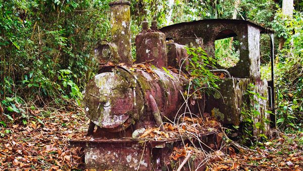 Secrets In The Jungle - Ride of the Ancient Rhino