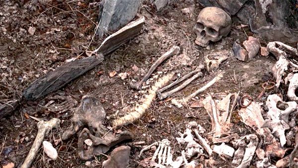 Secrets In The Jungle - Mystery of Mexico’s Skull Cave
