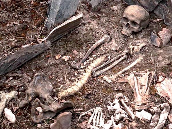 Secrets In The Jungle - Mystery of Mexico’s Skull Cave