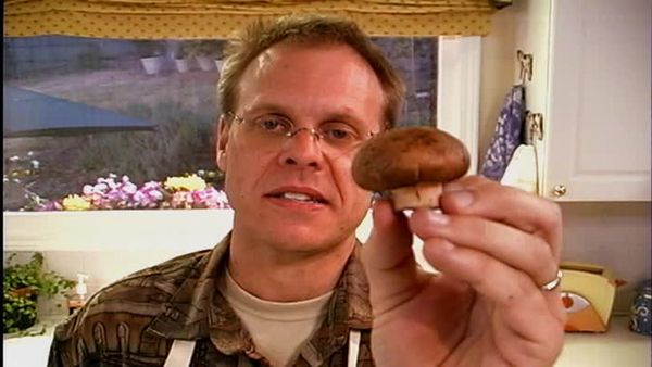 Good Eats - The Fungal Gourmet