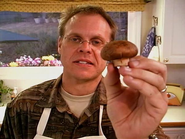 Good Eats - The Fungal Gourmet