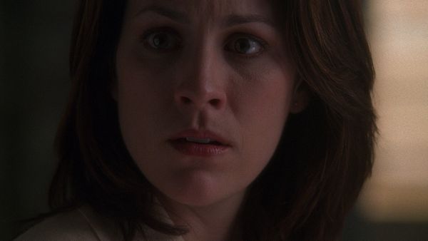 The X-Files - Provenance
