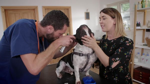 Embarrassing Pets - Episode 15