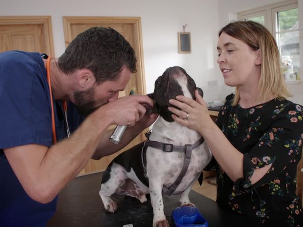 Embarrassing Pets - Episode 15