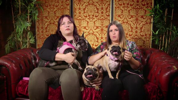 Embarrassing Pets - Episode 17