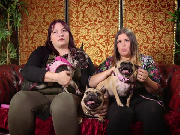 Embarrassing Pets - Episode 17