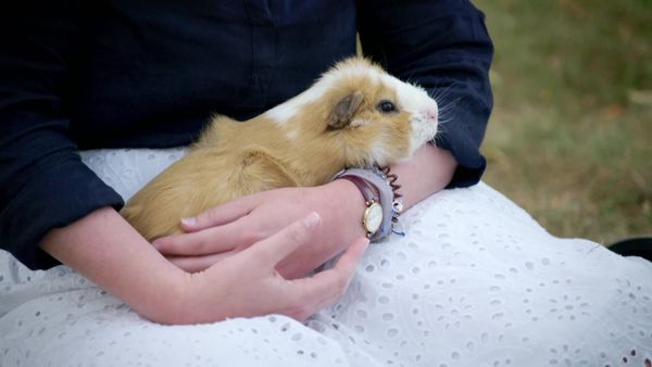 Embarrassing Pets - Episode 20