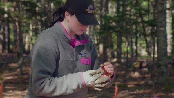 The Curse of Oak Island - Digging Back In