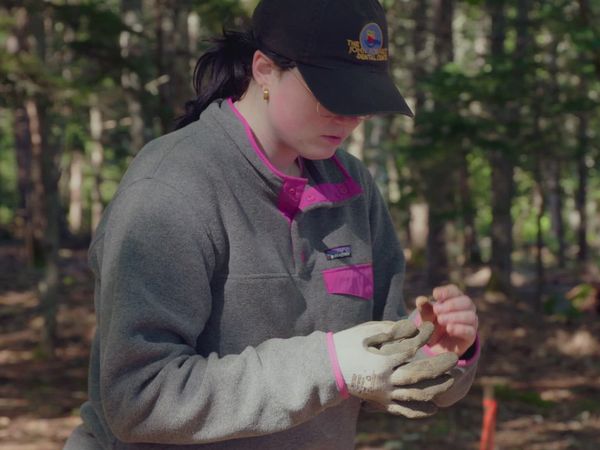 The Curse of Oak Island - Digging Back In