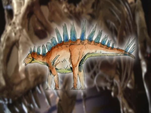 Missing Link - Episode 1