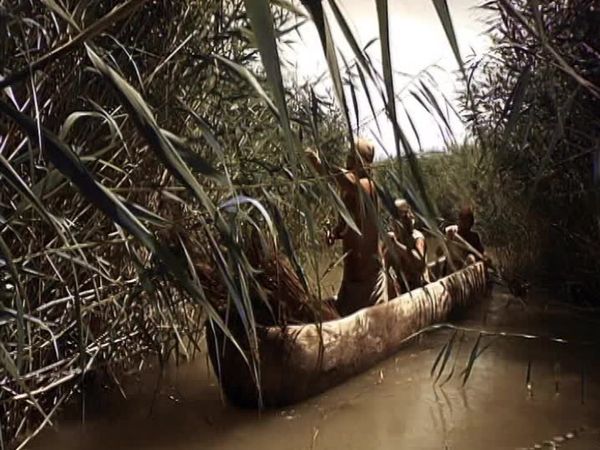 Missing Link - Episode 7