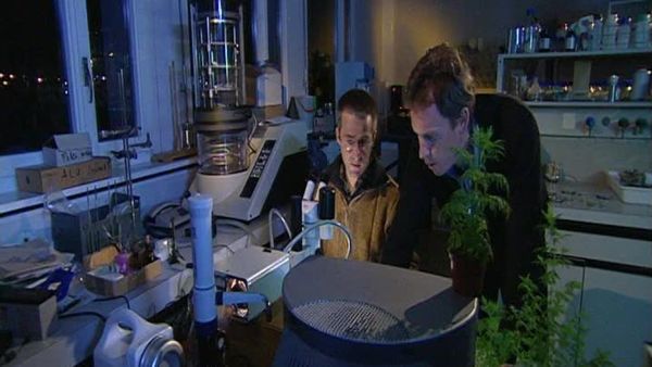 Missing Link - Episode 9