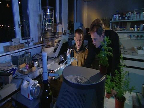 Missing Link - Episode 9