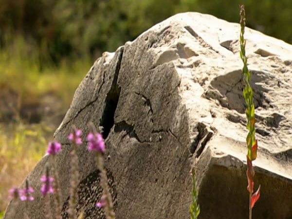 Missing Link - Episode 14