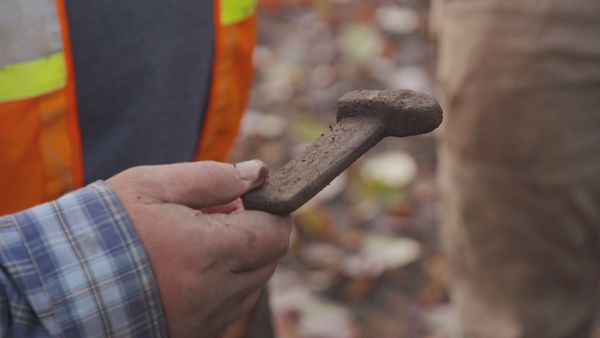 The Curse of Oak Island - The Top Ten Treasure Theories