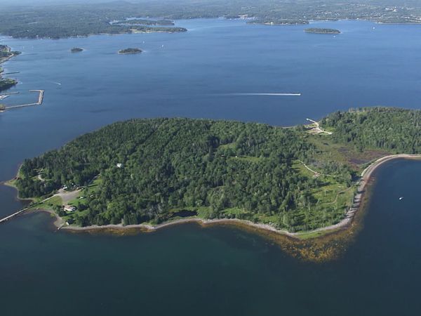 The Curse of Oak Island - Hatching the Plan