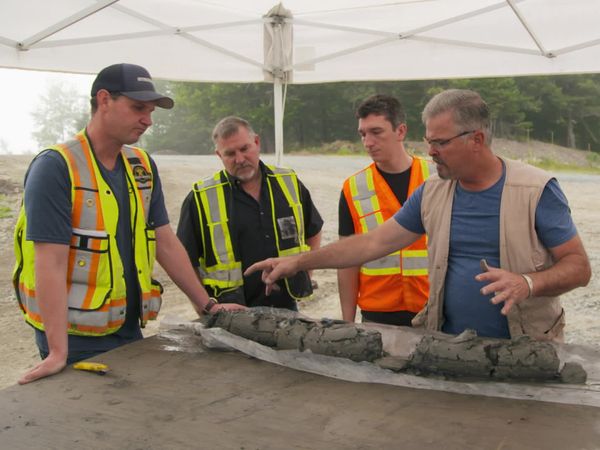 The Curse of Oak Island - The Root Cause