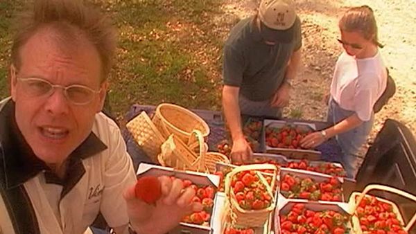 Good Eats - Strawberry Sky