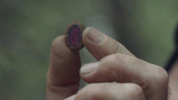 The Curse of Oak Island - The Top Ten Signs of Buried Treasure