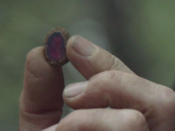 The Curse of Oak Island - The Top Ten Signs of Buried Treasure