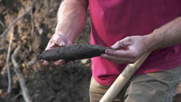 The Curse of Oak Island - The Top Ten Finds You Never Saw