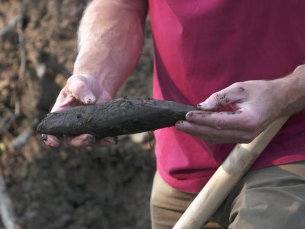 The Curse of Oak Island - The Top Ten Finds You Never Saw