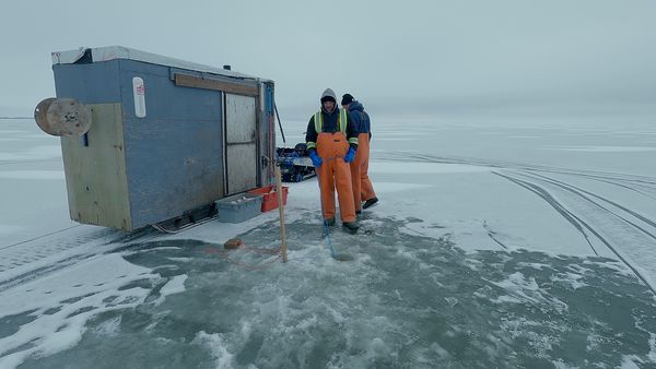Ice Vikings - Drop Off