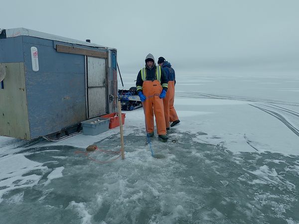 Ice Vikings - Drop Off