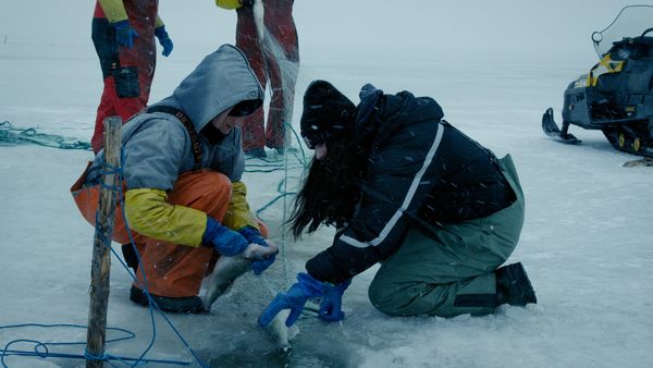 Ice Vikings - Help