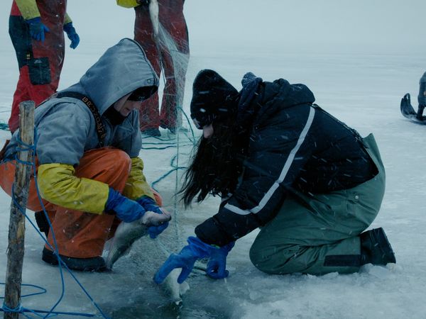 Ice Vikings - Help