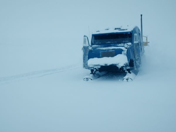 Ice Vikings - On The Hunt