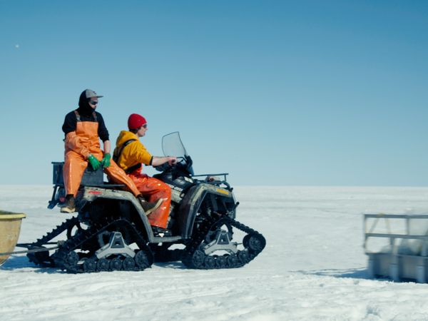 Ice Vikings - On Thin Ice