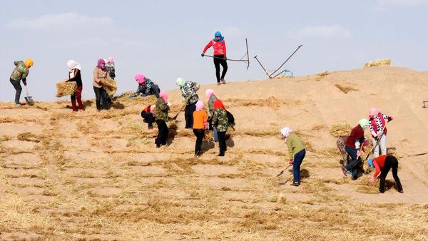 Planeta de arena - CHINA