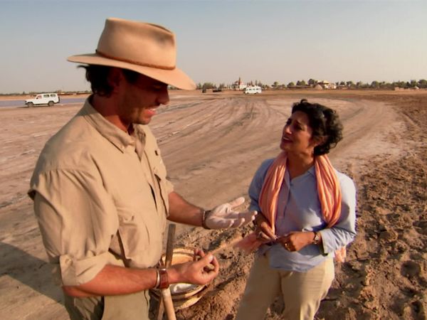 Digging for the Truth - Secrets Of The Mummies