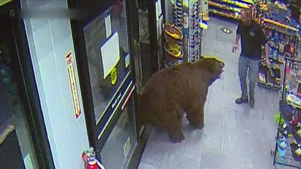 Customer Wars - Top 10: Hands Off