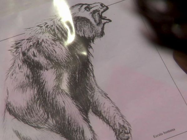 Digging for the Truth - Giants of Patagonia