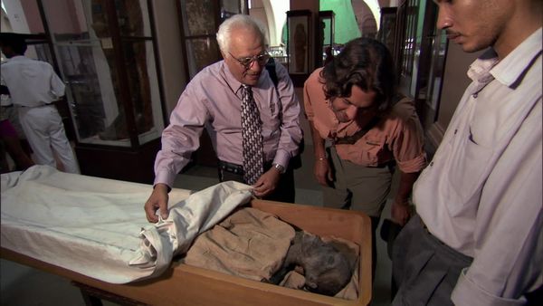 Digging for the Truth - Nefertiti: The Mummy Returns