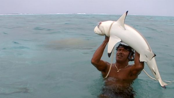 Leyendas del mar - Teuira, el hombre que habla con los tiburones