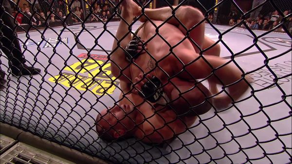 Year of the Fighter - Matt Serra