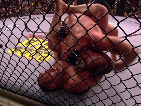 Year of the Fighter - Matt Serra