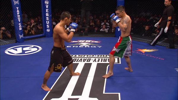Ultimate Knockouts - Hispanic Heritage Month - Classics