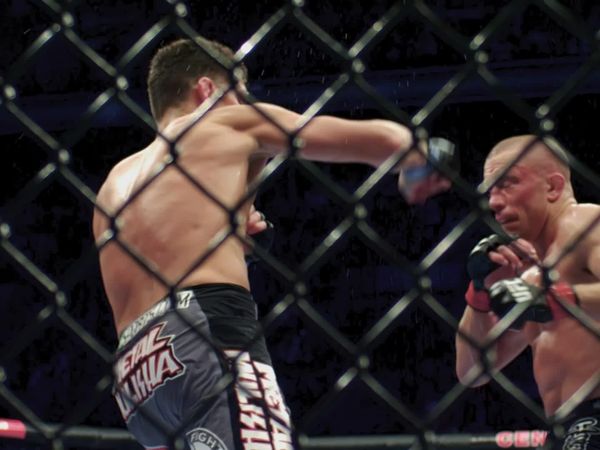 Year of the Fighter - Georges St. Pierre