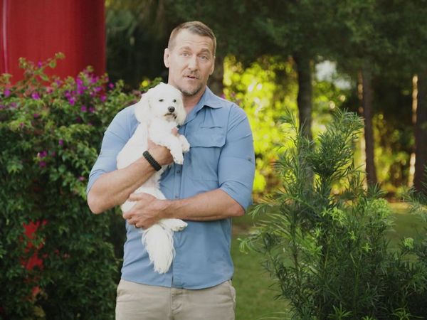 Lucky Dog: Down Under - Kirk & Milo