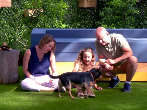 Lucky Dog: Down Under - Lightning & Pepper